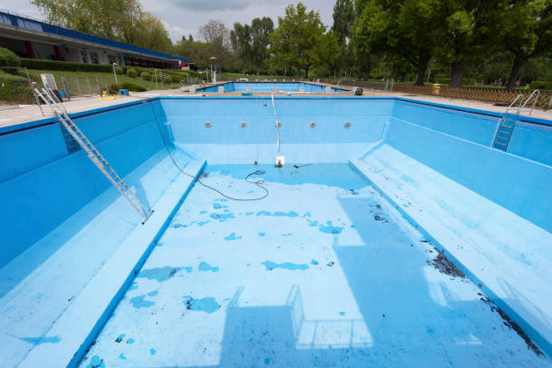 Best Water damage contractors near me  in Oblong, IL