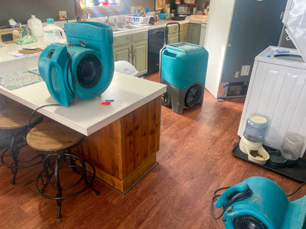 Best Carpet water damage restoration  in Oblong, IL