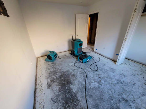 Best Emergency water damage restoration  in Oblong, IL