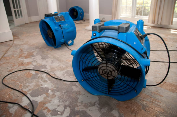 Best Commercial water damage restoration  in Oblong, IL