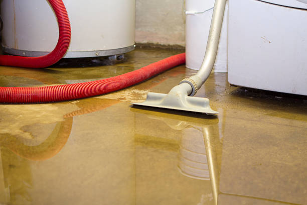 Best Flooded house restoration  in Oblong, IL