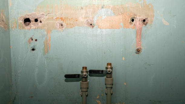 Best Water damage restoration near me  in Oblong, IL