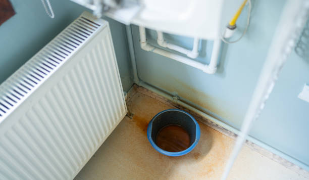 Best Flood damage cleanup  in Oblong, IL