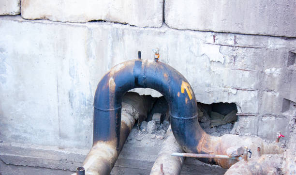 Best Water damage restoration cost  in Oblong, IL