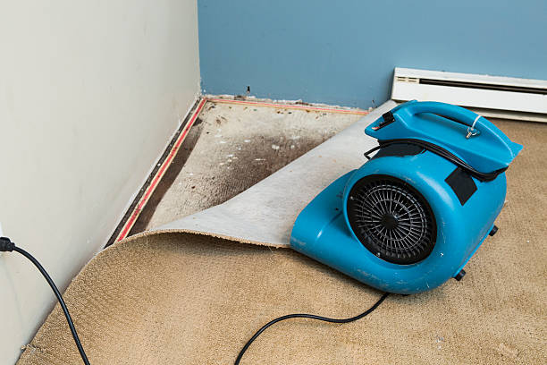 Best 24/7 water damage repair  in Oblong, IL